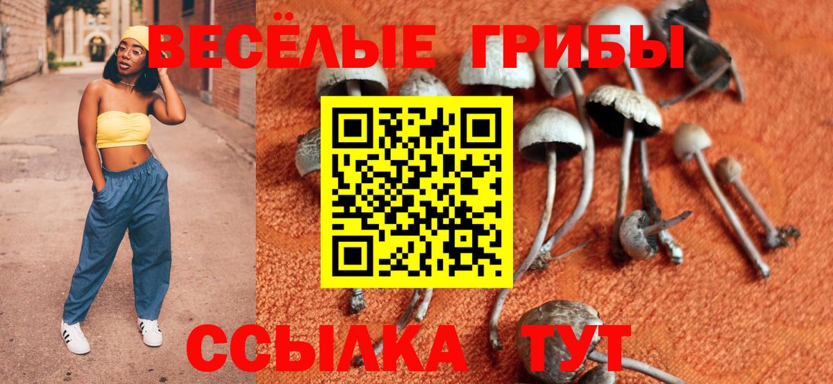 Вольск  Галлюциногенные грибы мицелий  Галлюциногенные грибы мухоморы  Вход с VPN 
